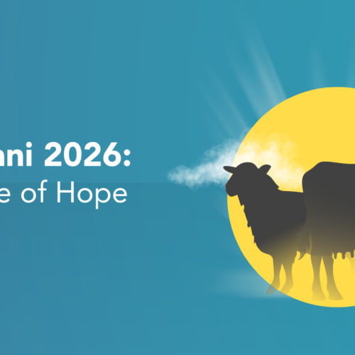 What is Qurbani? Meaning, Importance and How Your Sacrifice Changes Lives